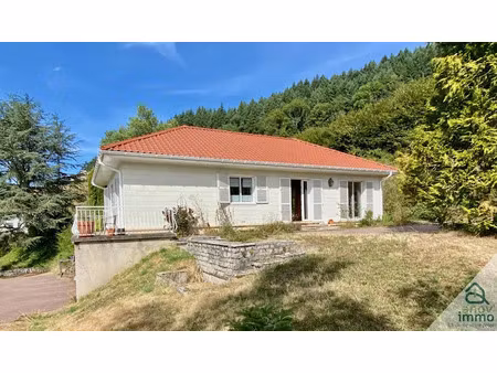 vente maison 7 pièces 185 m² à tarare (69170)  340 000 €