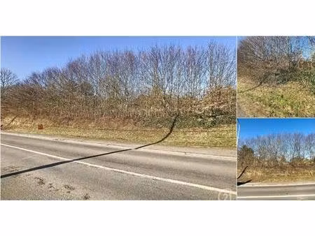 terrain à vendre à rue saint-roch seloignes (vbd19078)