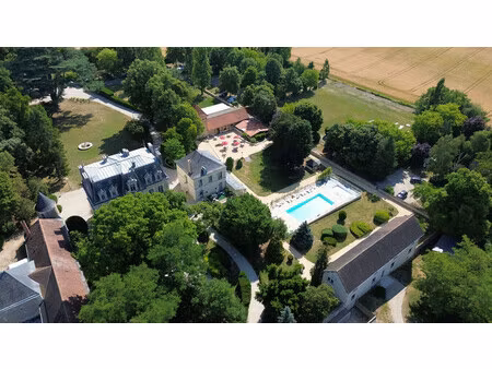 chateau à vendre à trogues (37220) - indre-et-loire