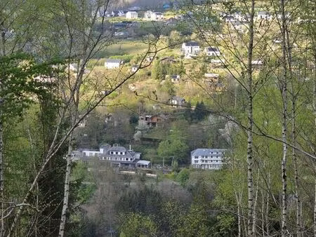 foret de près de 2 ha en bordure de cours d'eau