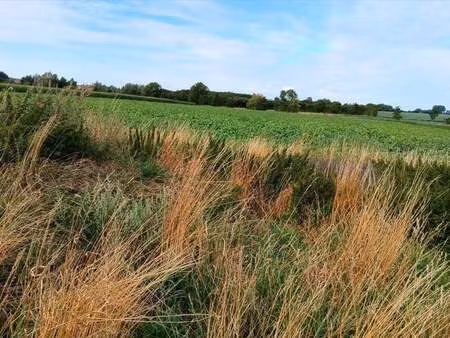 terrain à vendre à poperinge € 476.844 (ldbuh) - himpe & himpe | zimmo