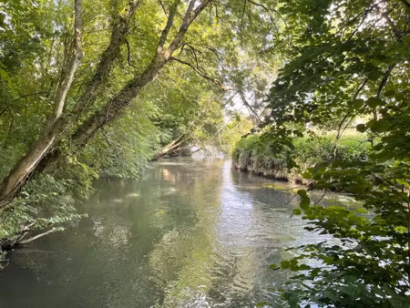 vente terrain 10400 m² à malay-le-petit (89100)  35 000 €