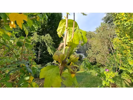 vente terrain 652 m² à les essarts-le-roi (78690)  178 500 €