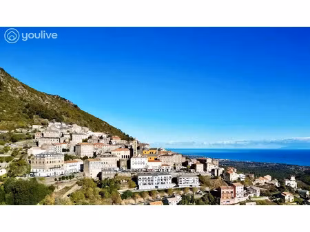 vente locaux professionnels 8 pièces 145 m² à cervione (20221)  158 000 €