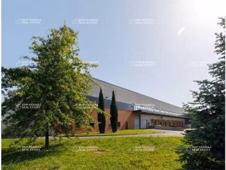 local d'activités à louer