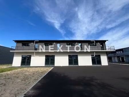 nexton immobilier