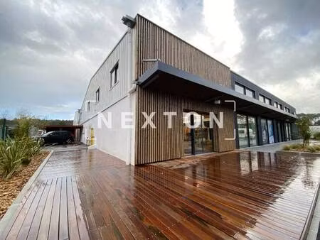 nexton immobilier