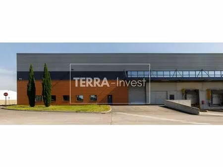 terra invest
