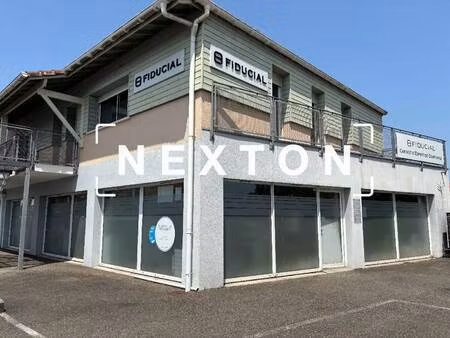 nexton immobilier