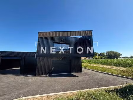 nexton immobilier