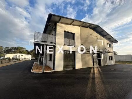 nexton immobilier