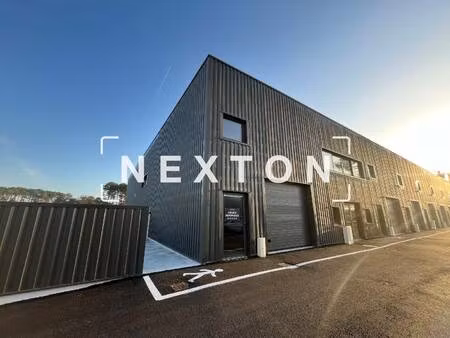 nexton immobilier