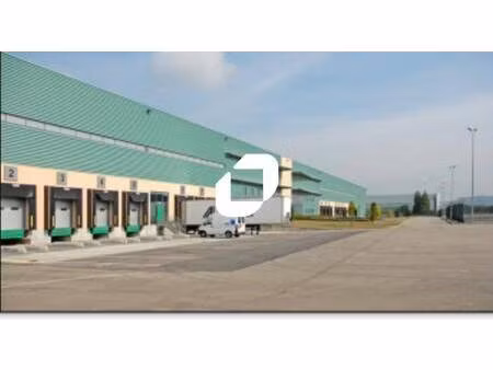 immprove grande activité & logistique