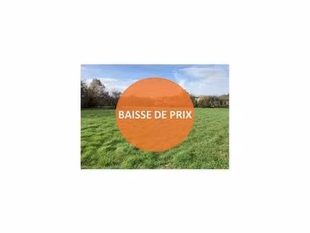 terrain constructible viabilisé à vendre