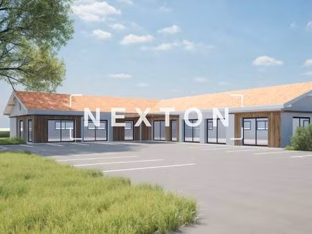 nexton immobilier