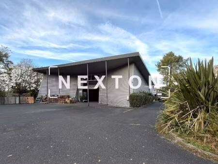 nexton immobilier