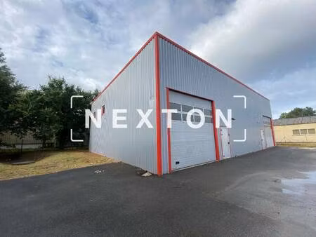 nexton immobilier