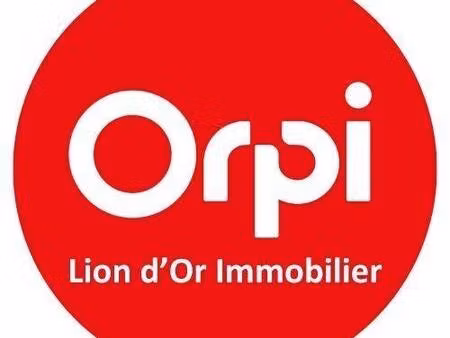 lion d'or immobilier