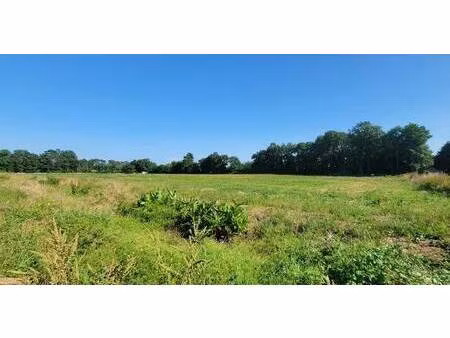 terrain constructible viabilisé à vendre