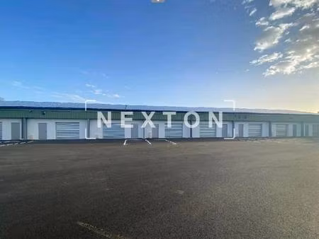 nexton immobilier