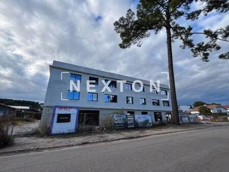 nexton immobilier