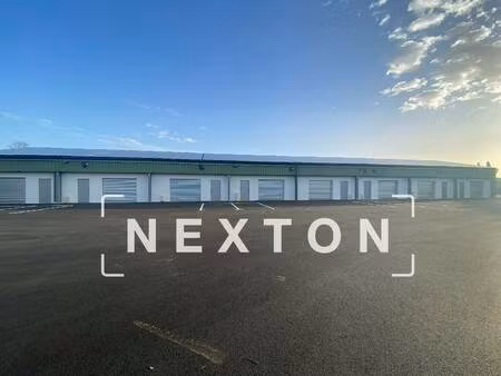 nexton immobilier
