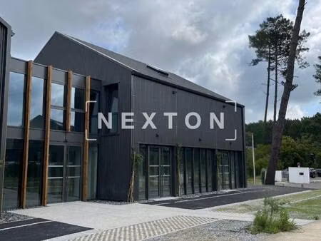 nexton immobilier