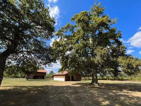 vaginay laurent agent mandataire optimhome