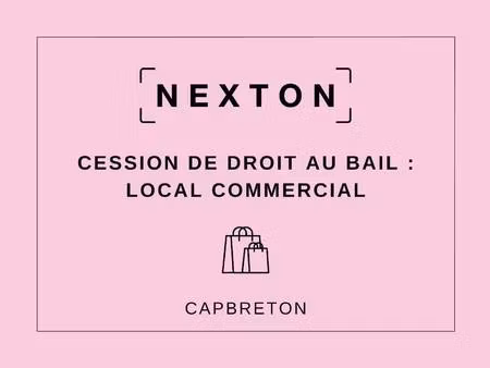 nexton immobilier