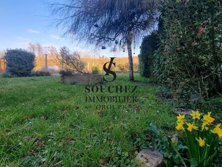 souchez immobilier - souchez