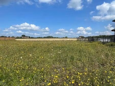 terrain constructible viabilisé à vendre