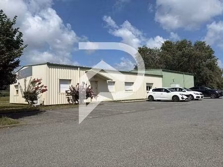 stephane plaza immobilier