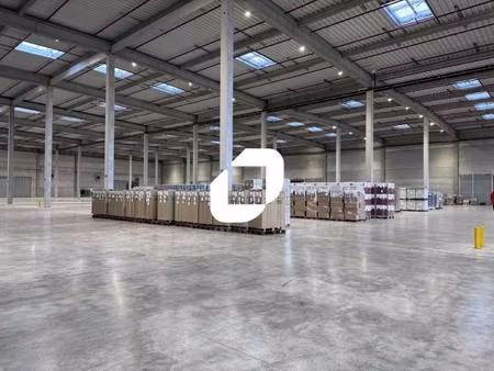 immprove grande activité & logistique