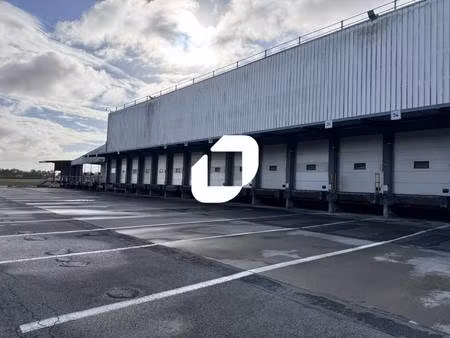 immprove grande activité & logistique