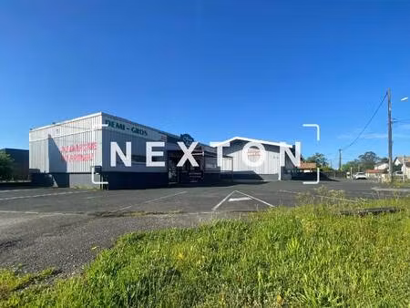 nexton immobilier