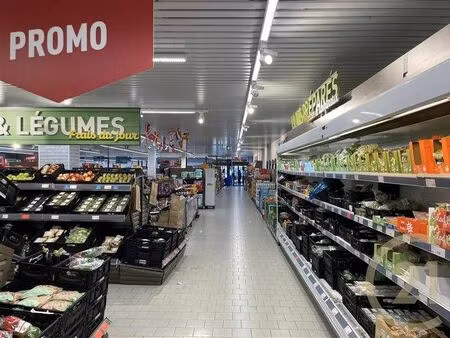 surface commerciale de 1000 m²