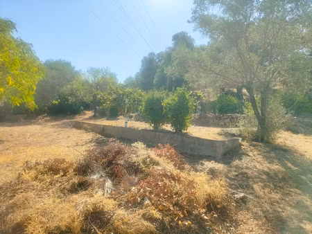 terrain constructible à ile rousse