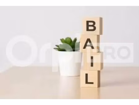 local commercial a louer