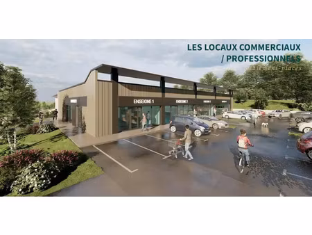 local commercial - bureaux a vendre ou a louer