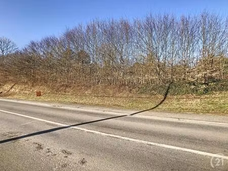 terrain en vente à rue saint-roch  seloignes  belgique | century 21®