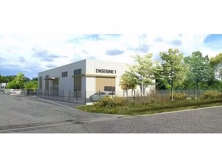 location local d'activités villeneuve tolosane 427 m²