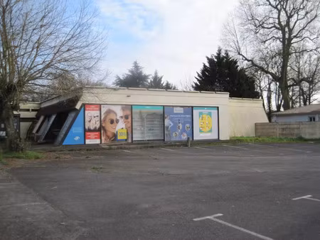 vente commerce 14 pièces 258 m² saint-denis-de-pile (33910)