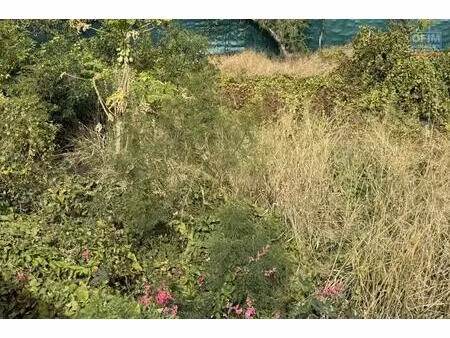 terrain rare -saline les bains -50m du lagon