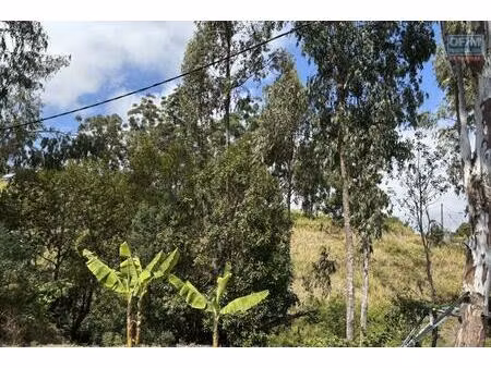 a vendre à trois bassins très beau terrain de 1431 m2