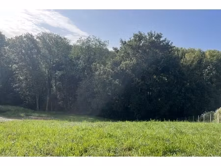 annonce terrain à vendre