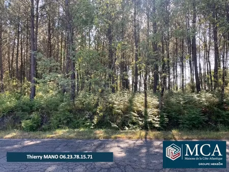 vente terrain 485 m² sanguinet (40460)