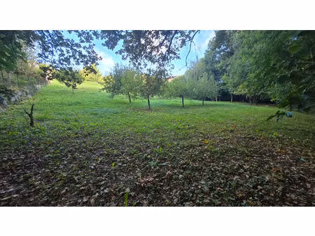 terrain mondonville à vendre