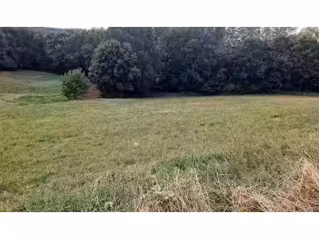 vente terrain à batir 1870 m² à payrin-augmontel (81660)  40 000 €