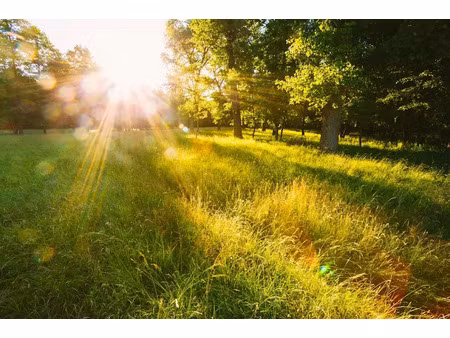 vente terrain 500 m² à valentigney (25700)  65 000 €