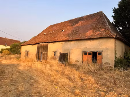 vente terrain 15000 m² à yzeure (03400)  55 000 €